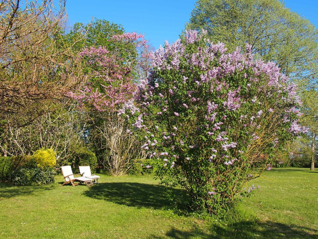 Gite De Charme Au Bord Du Tarn Marssac-sur-Tarn Extérieur photo