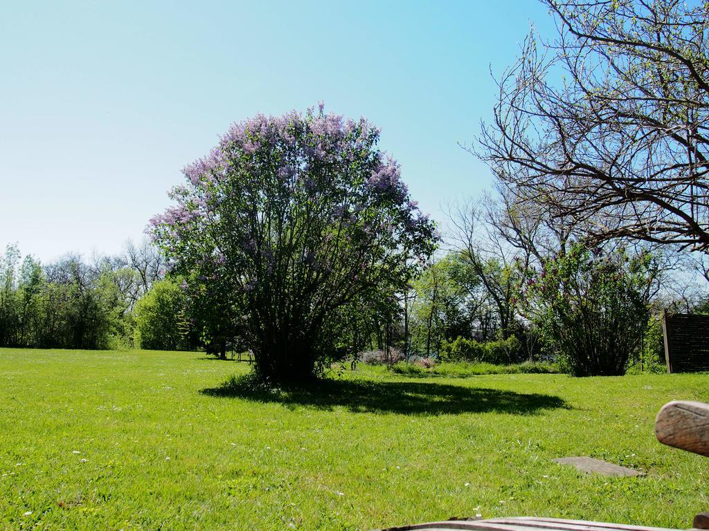 Gite De Charme Au Bord Du Tarn Marssac-sur-Tarn Extérieur photo